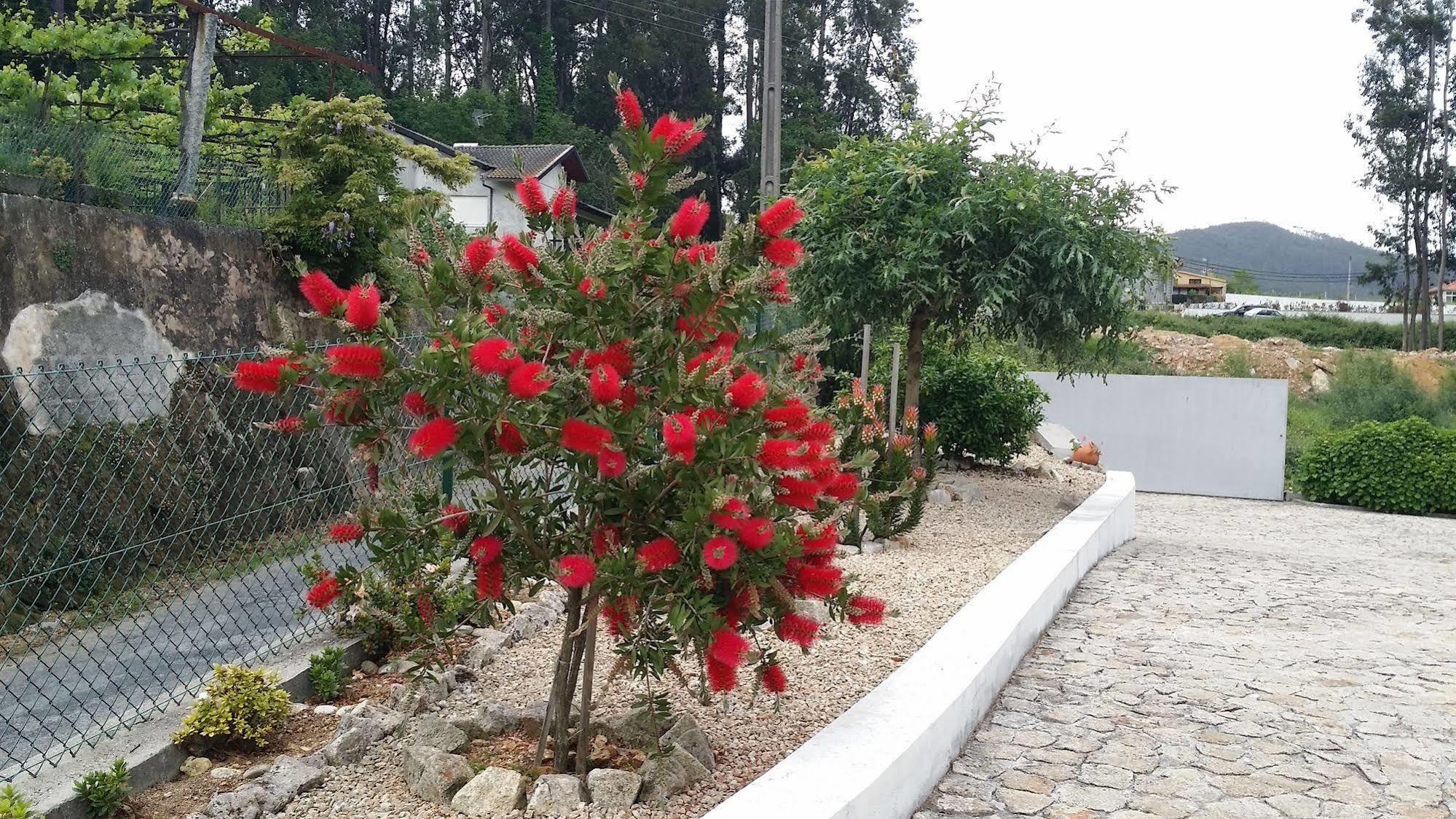 Casa Do Porto Carreiro Villa Oliveira de Azemeis Kültér fotó